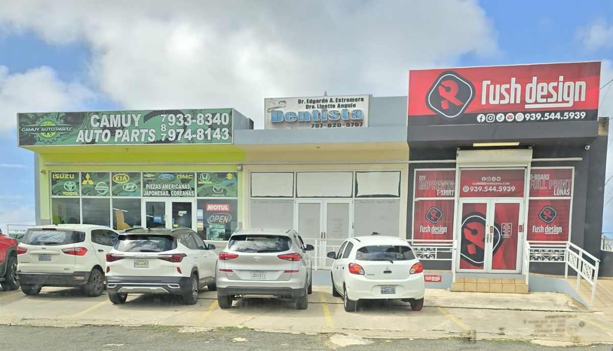 Camuy Auto Color